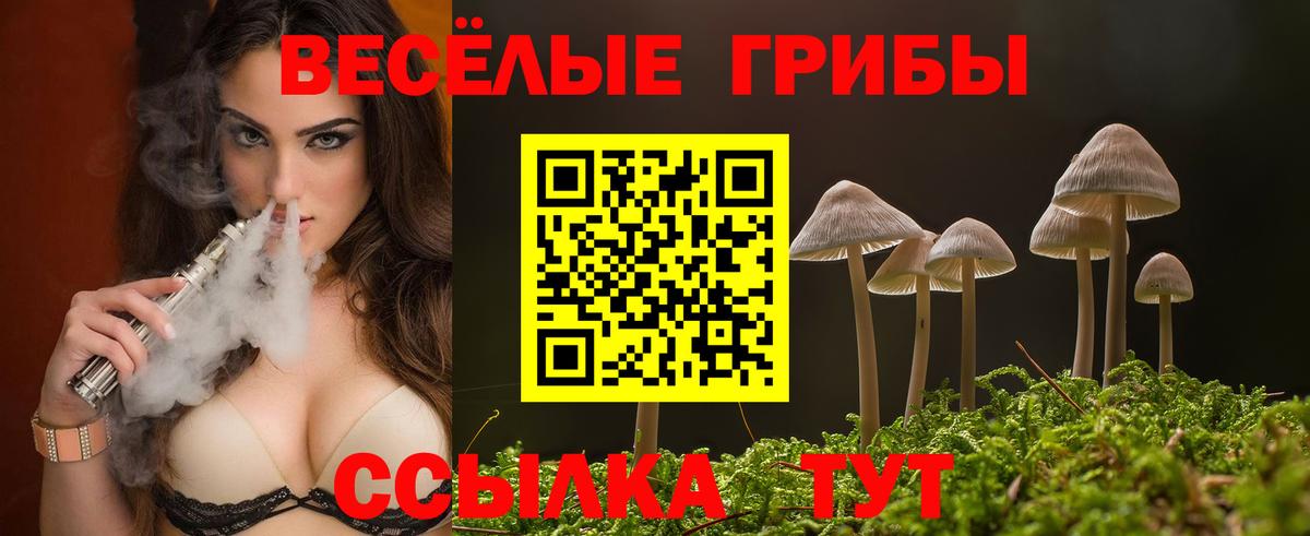 Псилоцибиновые грибы прущие грибы Ессентуки