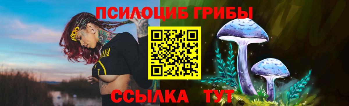 Псилоцибиновые грибы Psilocybine cubensis  Вход с VPN  Ессентуки  Галлюциногенные грибы Psilocybe 